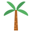 Palm tree icon 64x64