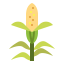 Corn icon 64x64