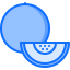 Melon icon 64x64