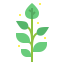 Herbs 상 64x64
