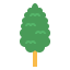 Cypress icon 64x64