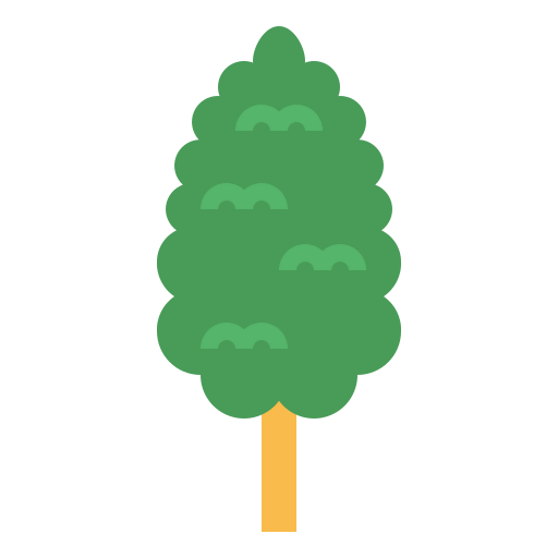 Cypress icon