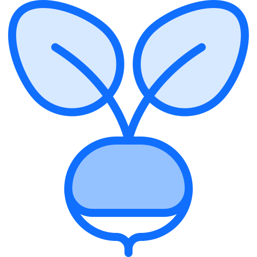 Radish icon