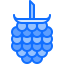 Raspberries icon 64x64