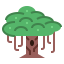 Banyan icon 64x64