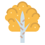 Birch icon 64x64