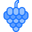 Grapes icon 64x64