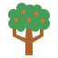 Orange icon 64x64