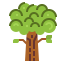 Oak іконка 64x64