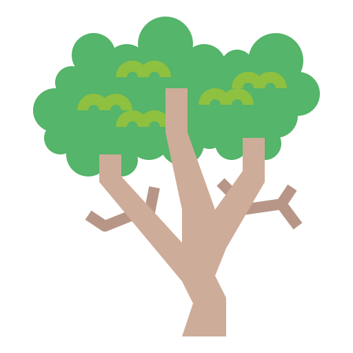 Sycamore icon