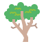 Sycamore icon 64x64