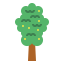 Elm icon 64x64