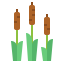 Cattail icon 64x64