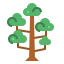 Sequoia icon 64x64