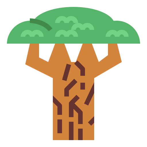 Baobab icon