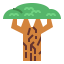 Baobab icon 64x64