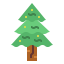 Spruce іконка 64x64