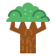 Beech icon 64x64