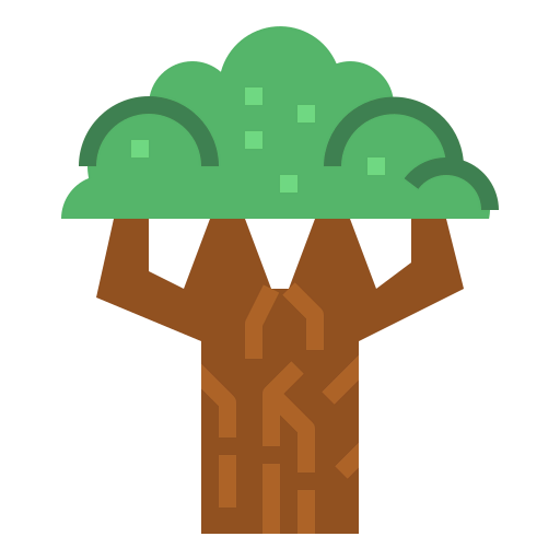 Beech icon