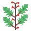 Holly icon 64x64