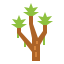 Joshua tree icon 64x64