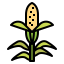 Corn icon 64x64