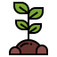 Sprout icon 64x64