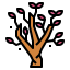 Magnolia icon 64x64