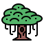 Banyan icon 64x64