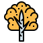 Birch icon 64x64