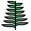 Fern 图标 64x64