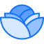 Cabbage icon 64x64