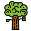 Oak іконка 64x64
