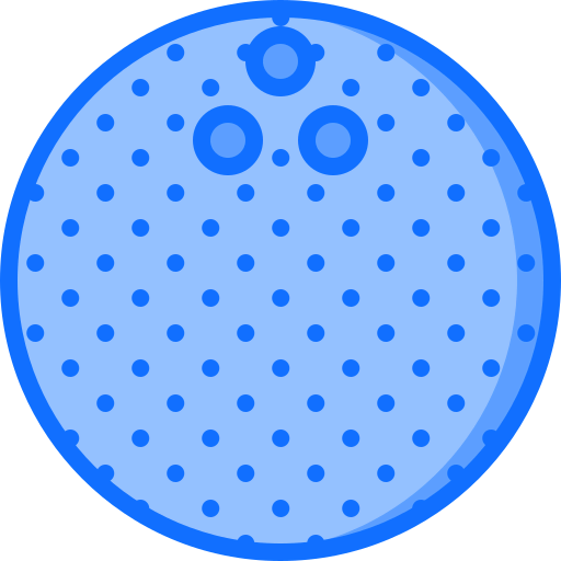 Coconut icon