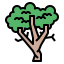 Sycamore icon 64x64