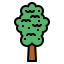 Elm icon 64x64