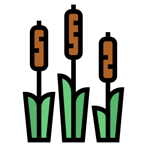 Cattail icon