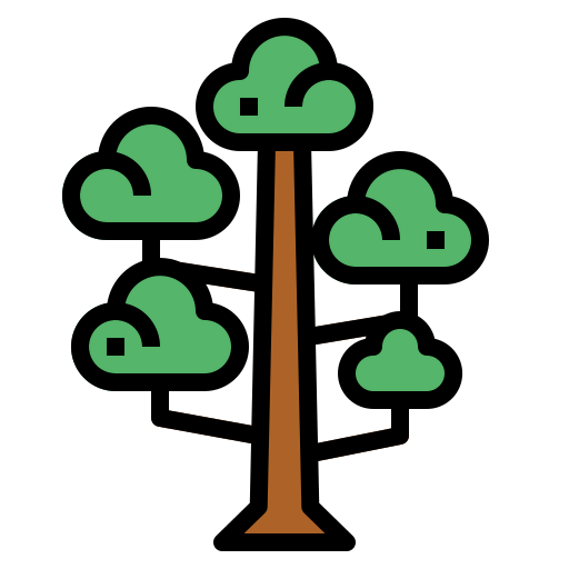 Sequoia icon