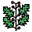 Holly icon 64x64