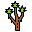 Joshua tree icon 64x64