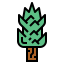 Juniper icon 64x64
