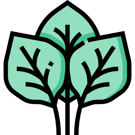 Spinach icon