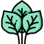 Spinach icon 64x64
