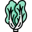 Cabbage icon 64x64