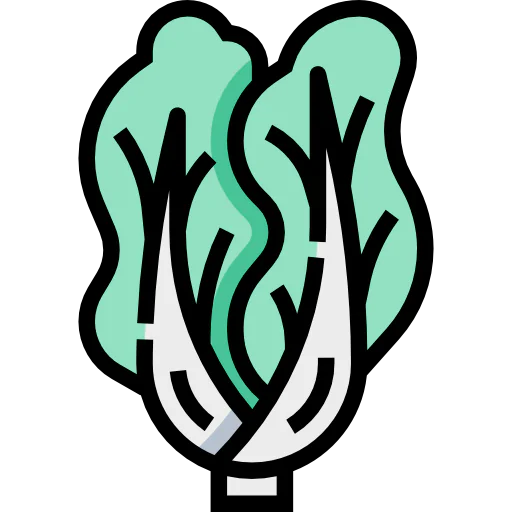 Cabbage icon