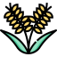 Rice icon 64x64