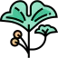 Ginkgo icon 64x64