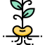 Bean icon 64x64