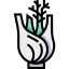Fennel icon 64x64