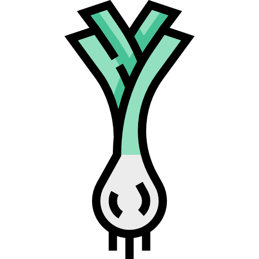 Leek icon